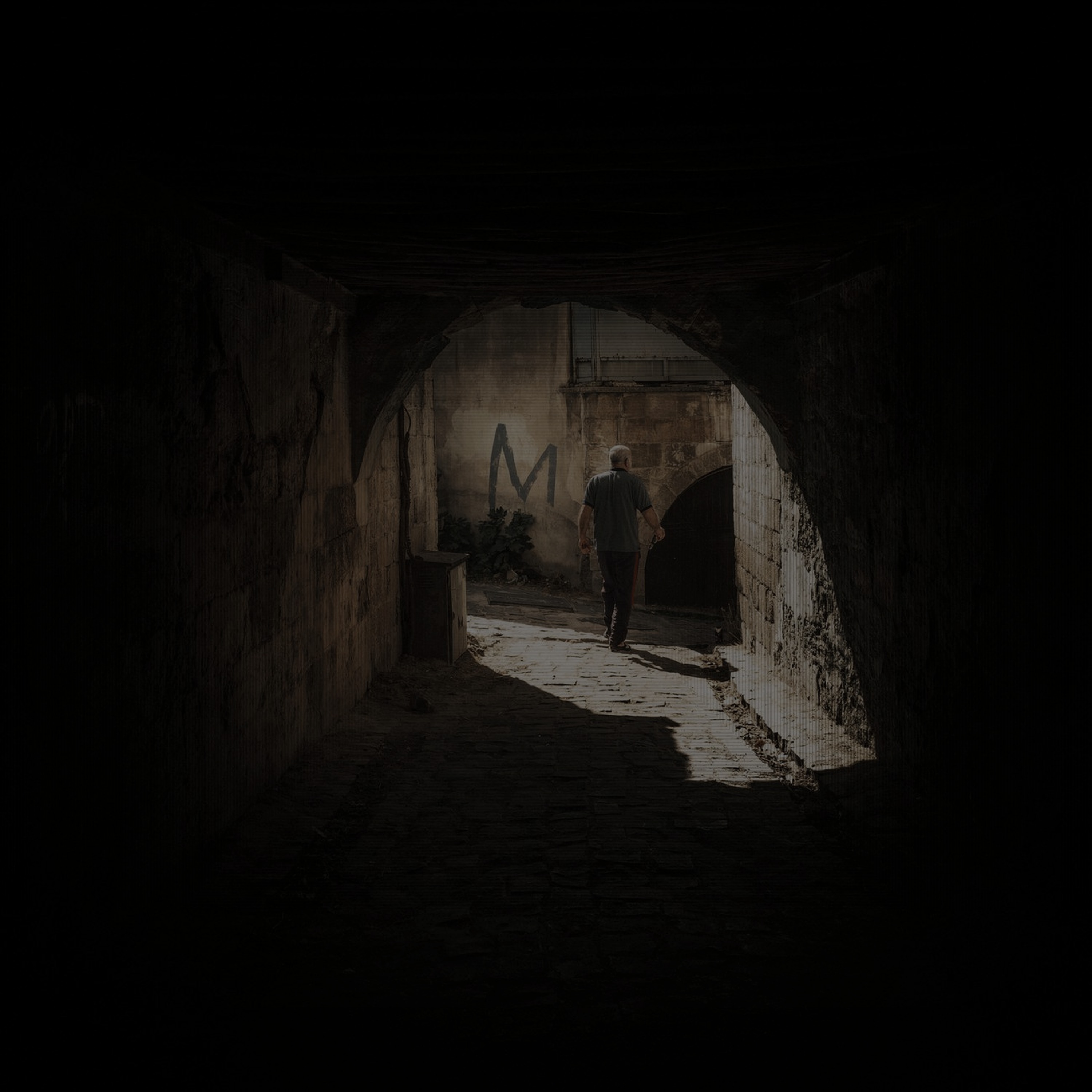 Nocturnal Shadows